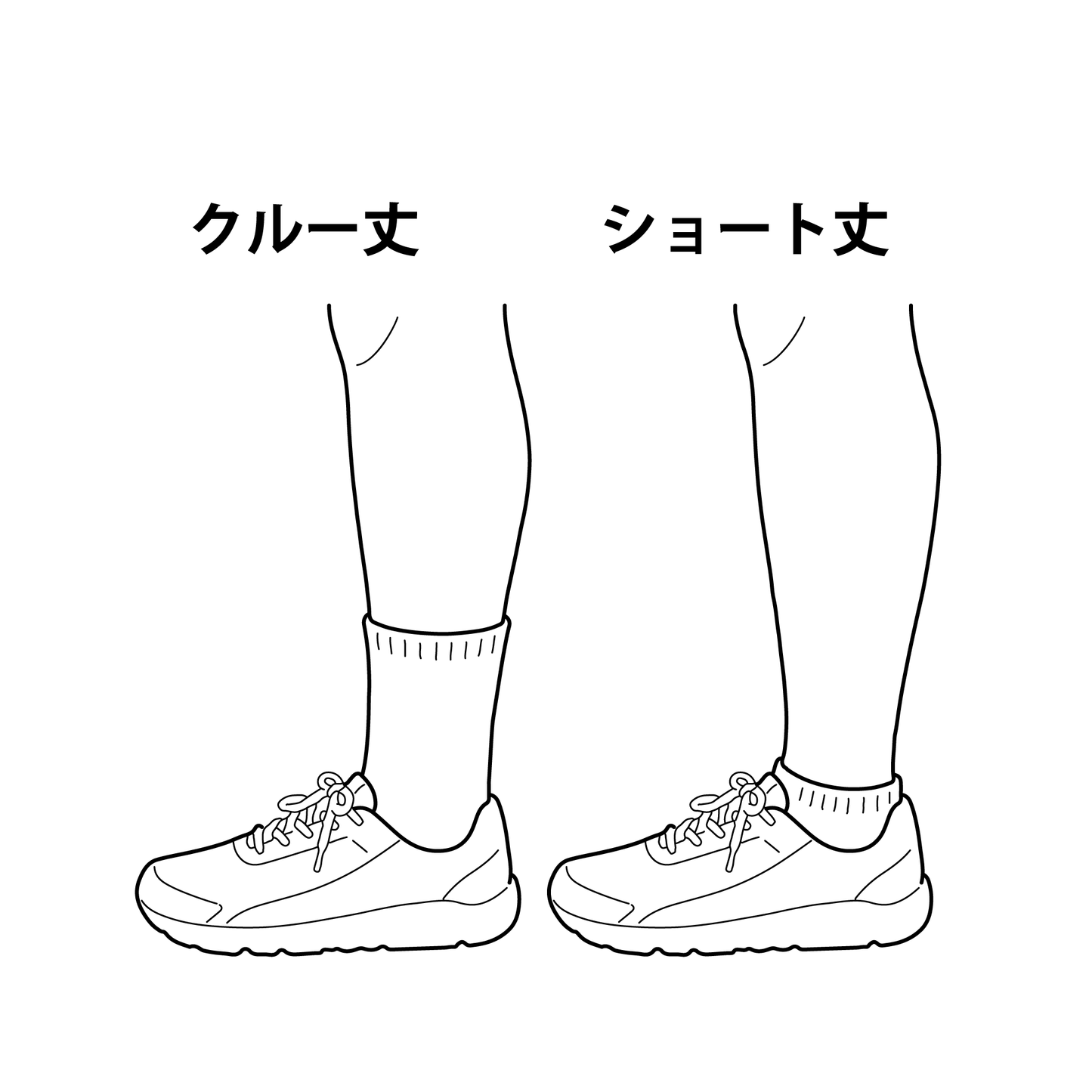 LW セパレートドライソックス タビ型 クルー丈
