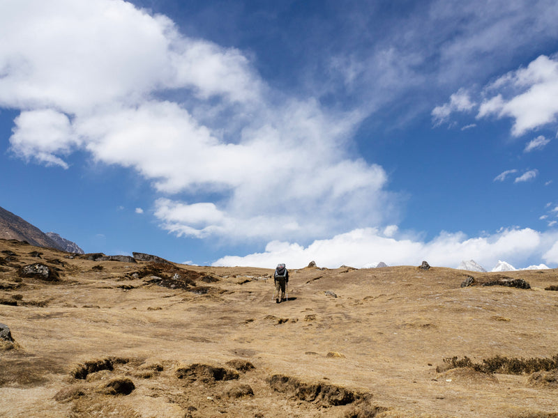 トレイルで食べる — HIKER FOODのご紹介