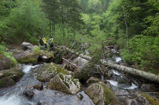 「3D Whistle 2g」の制作ストーリーと設計について ①