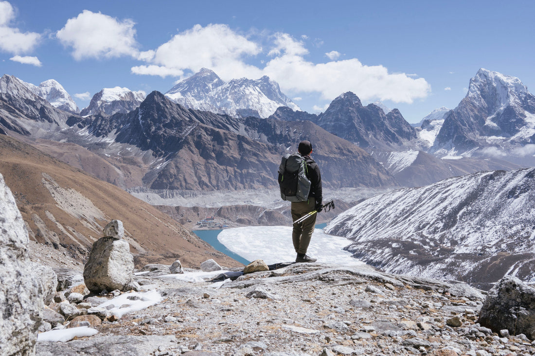 春夏のイベントのお知らせ