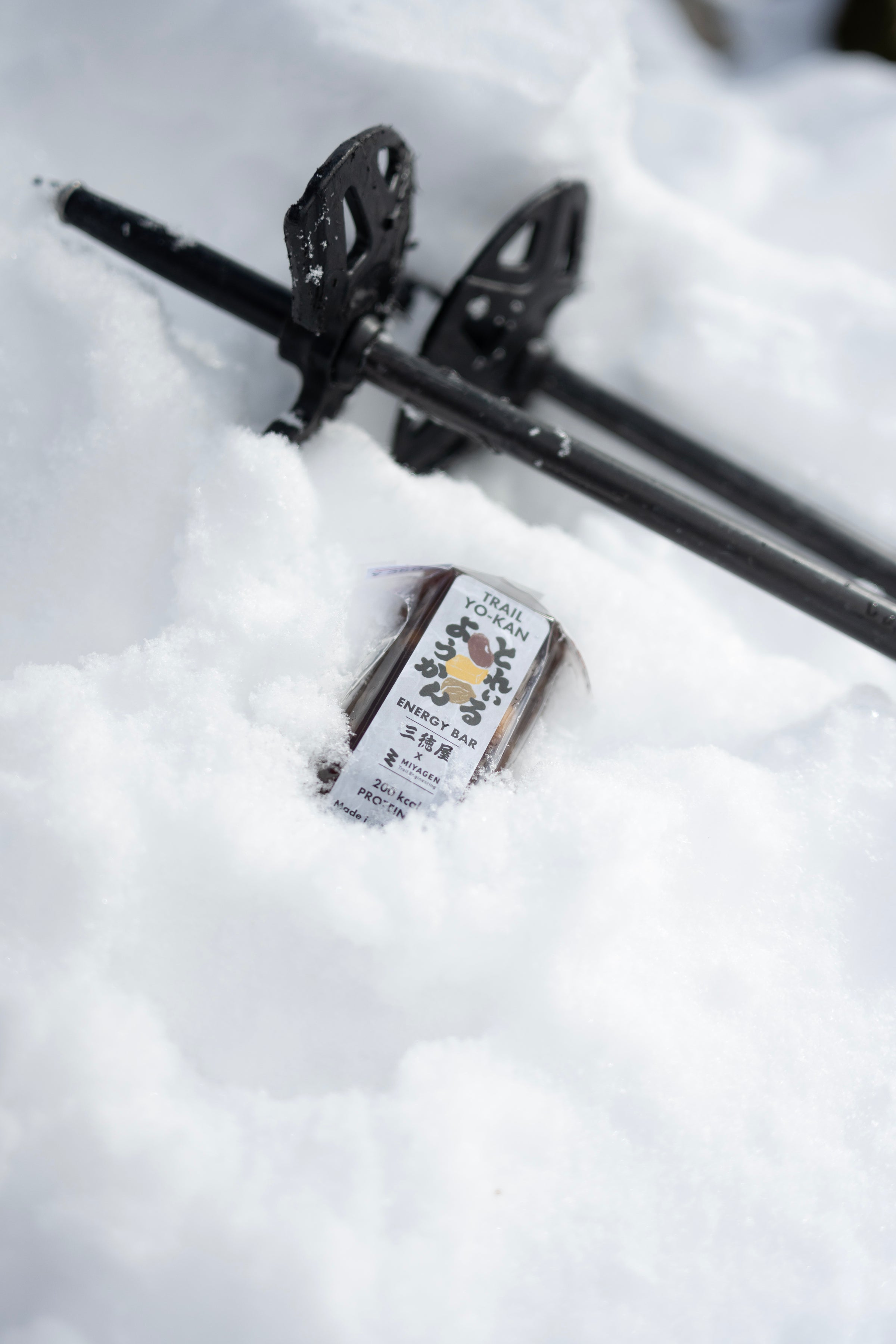 フィールドフォト