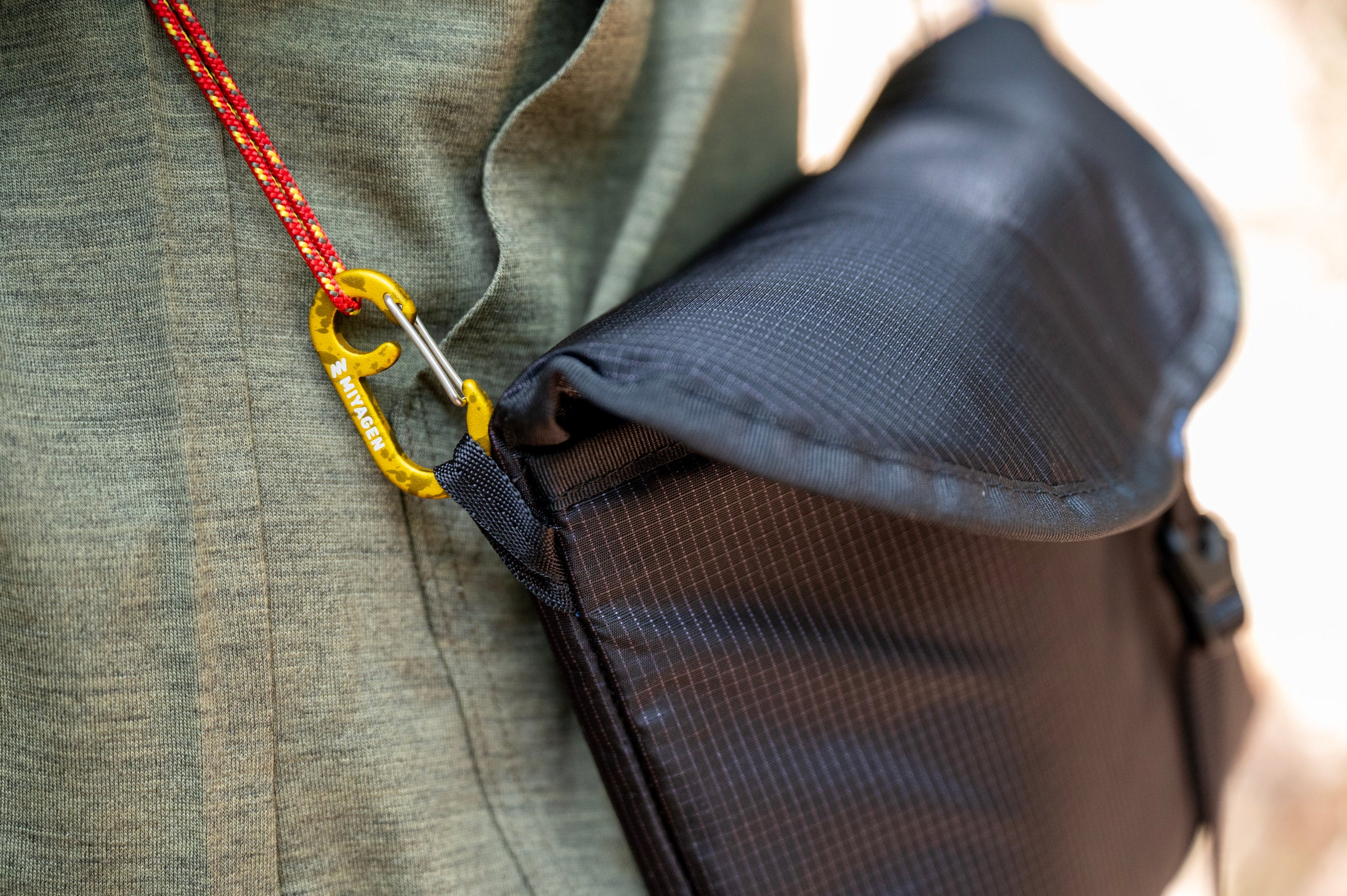 フィールドフォト