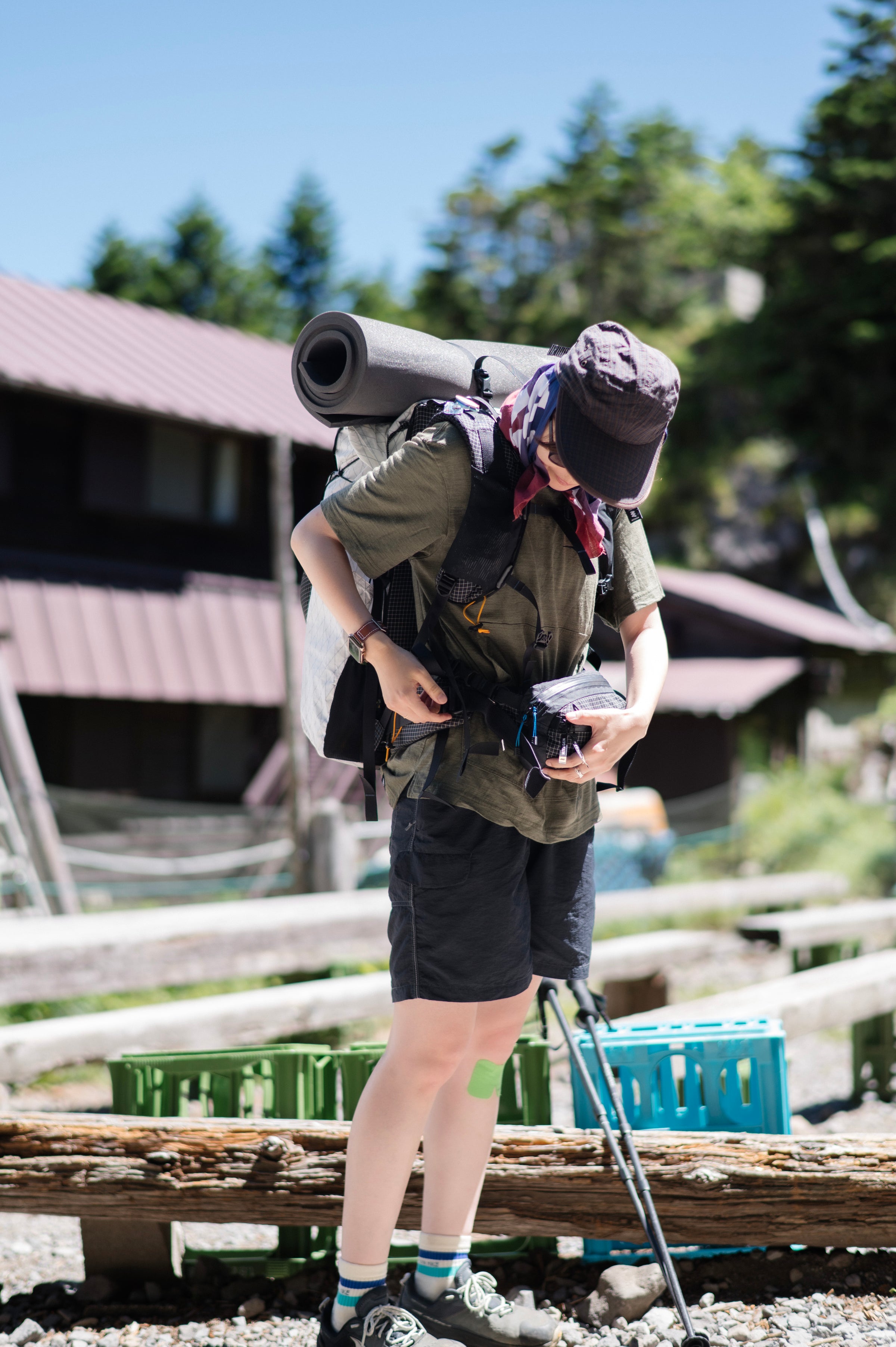 フィールドフォト