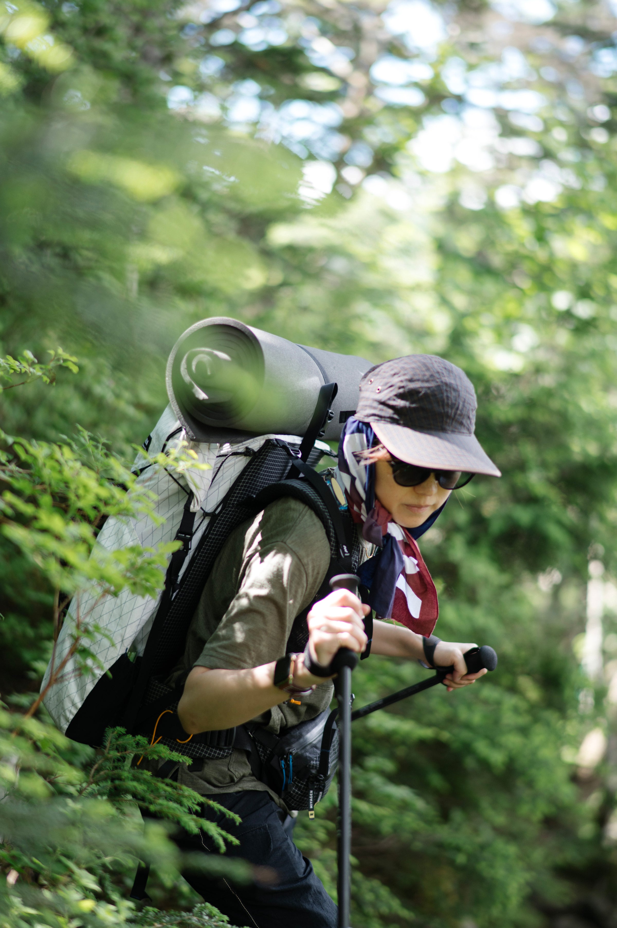 フィールドフォト