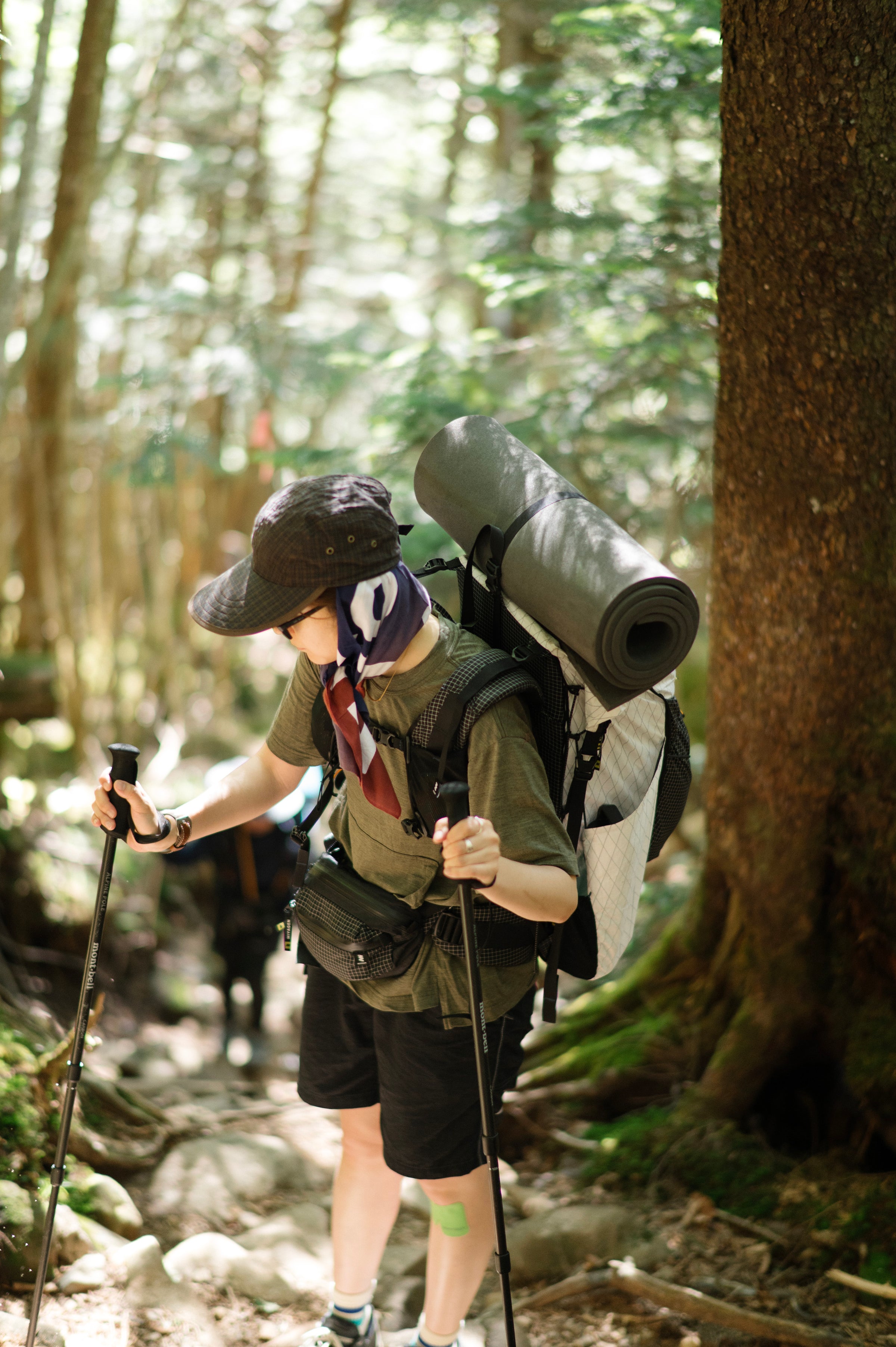 フィールドフォト