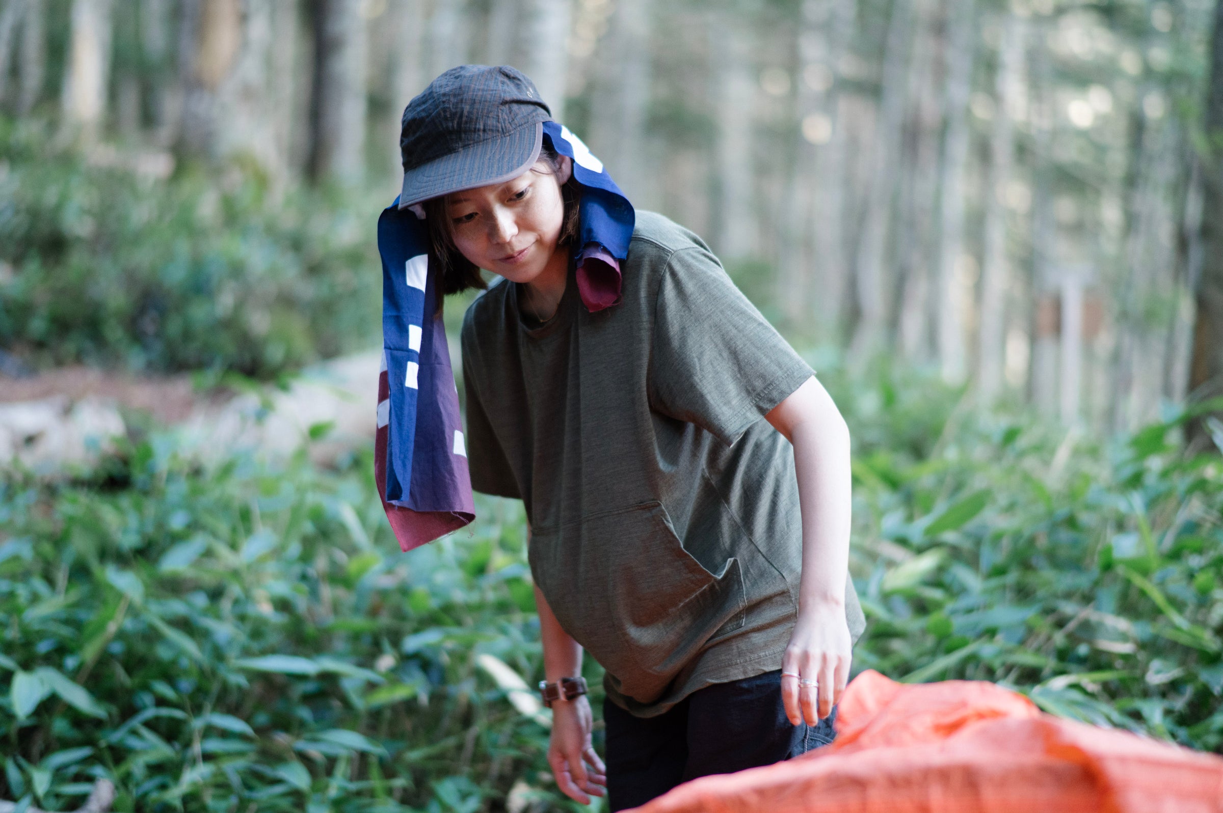 フィールドフォト