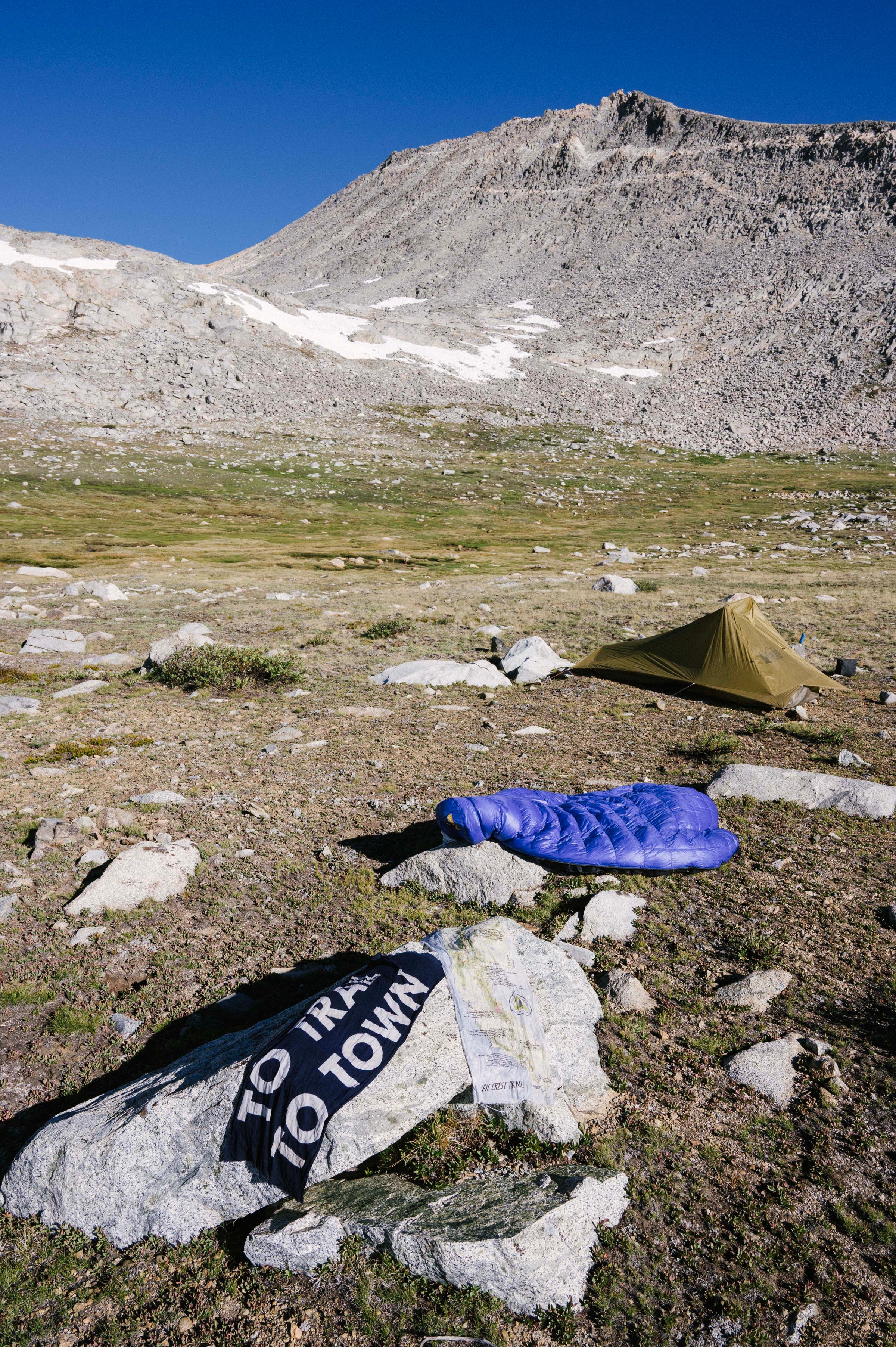 フィールドフォト