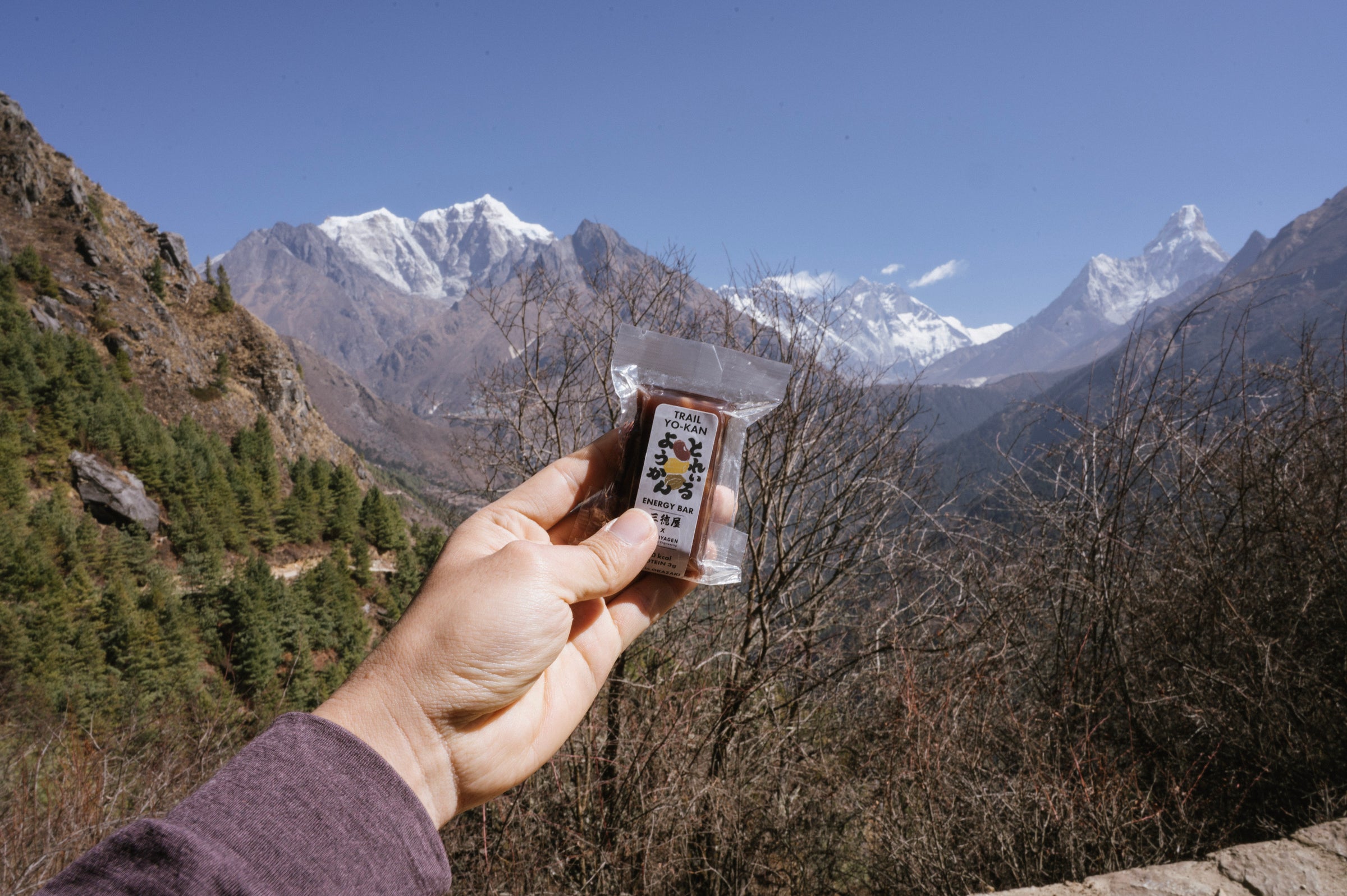 フィールドフォト