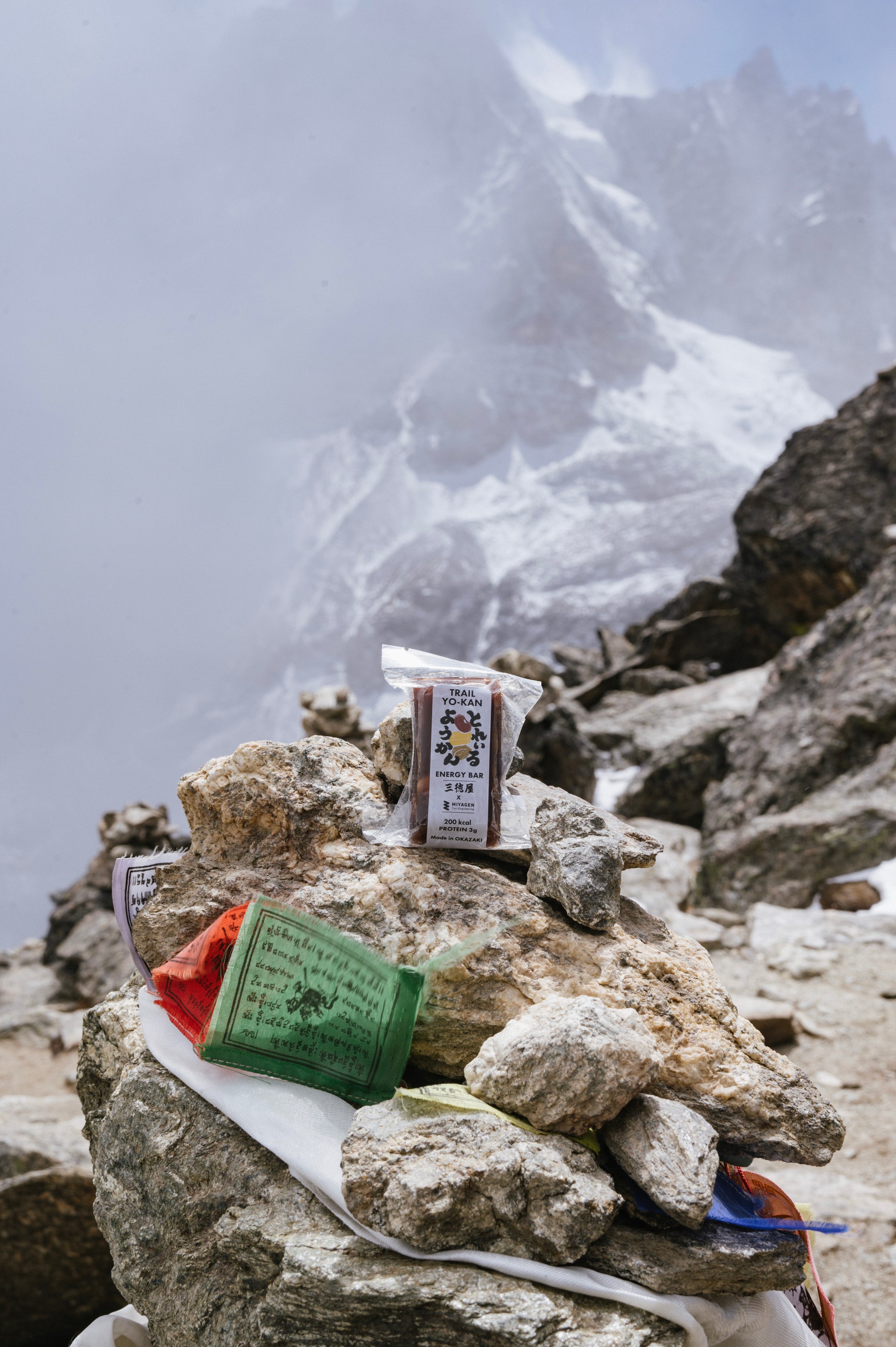 フィールドフォト