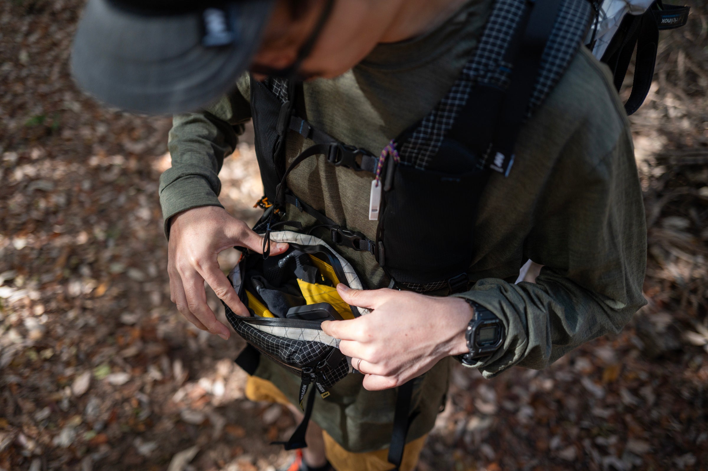 フィールドフォト