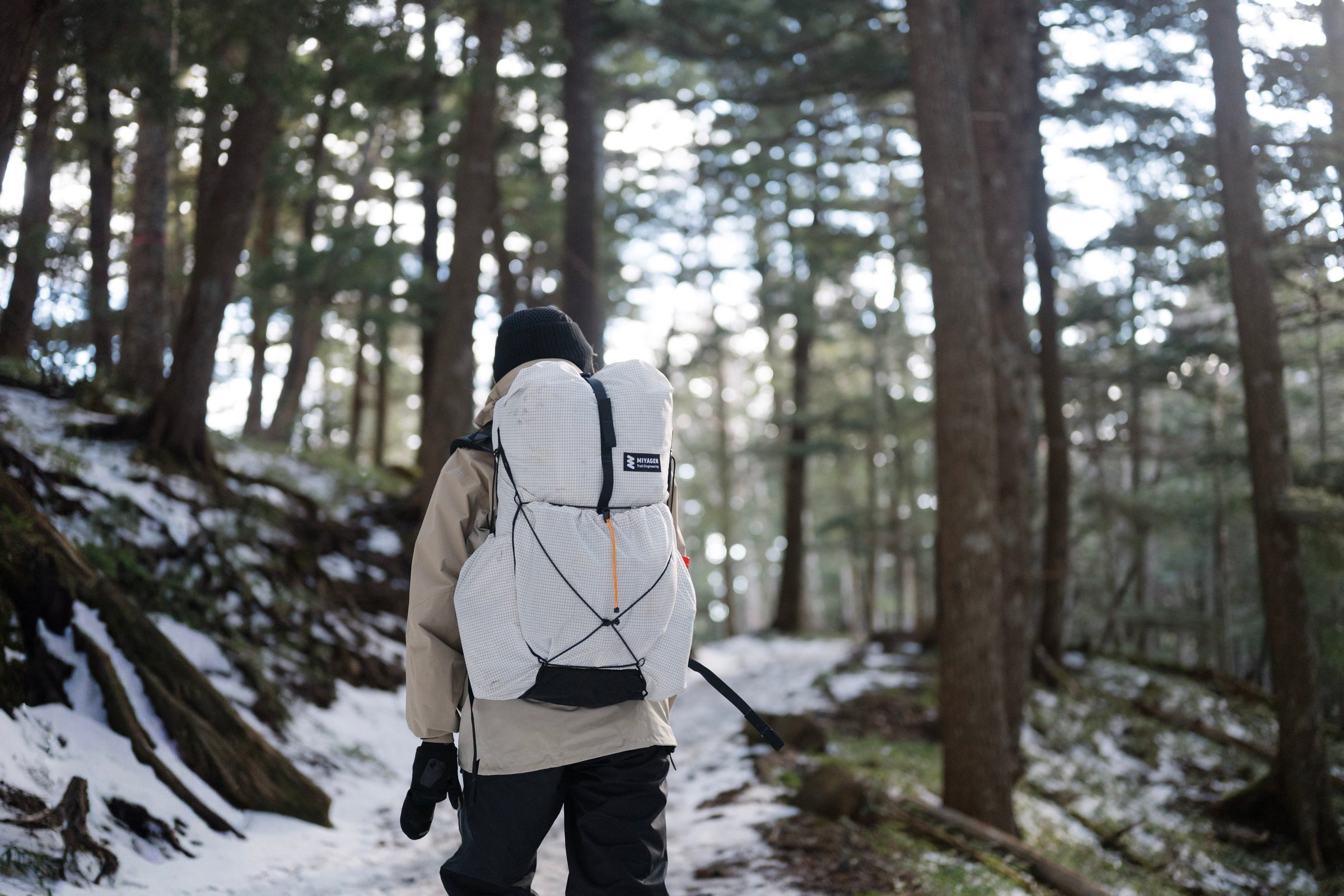 フィールドフォト