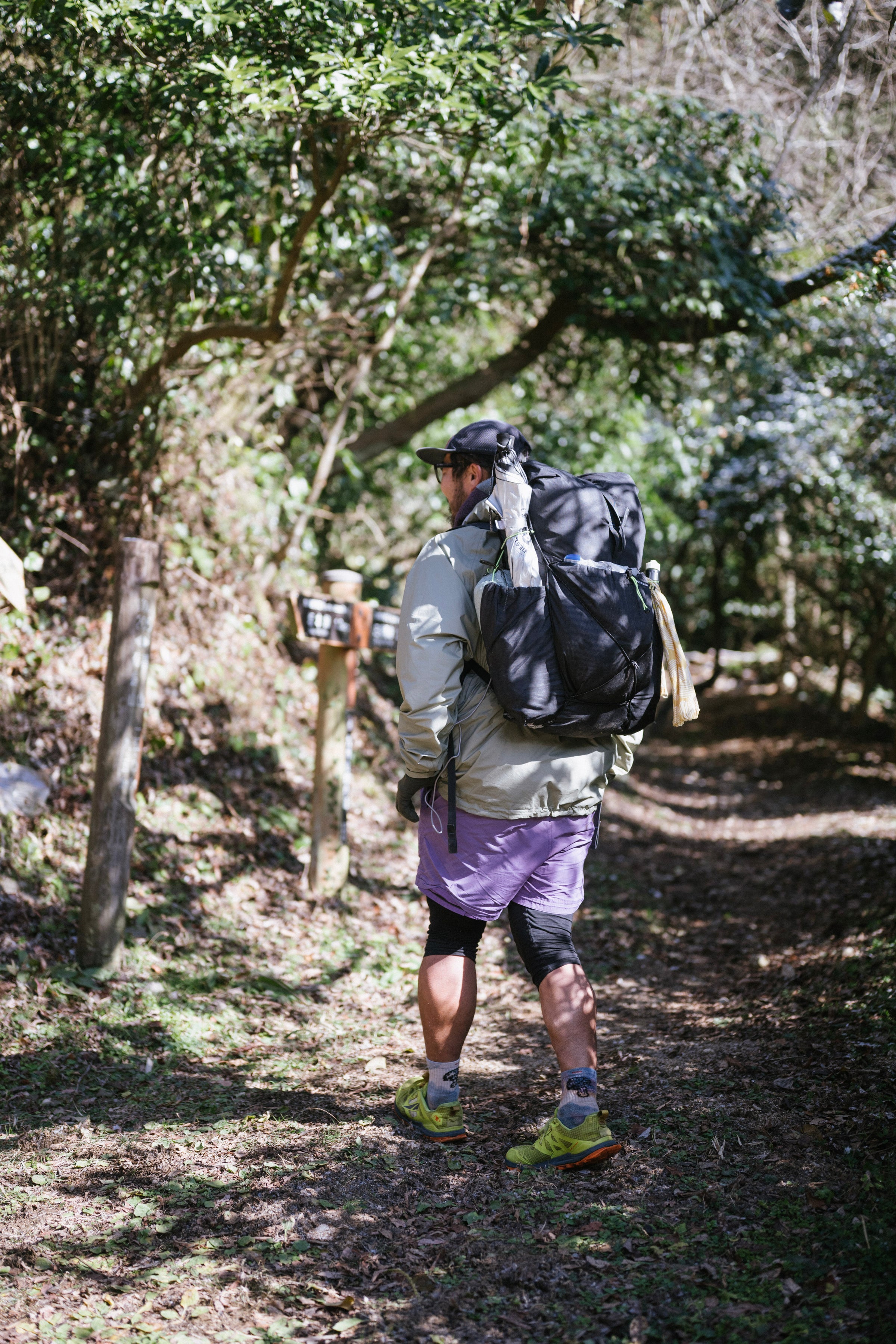 フィールドフォト