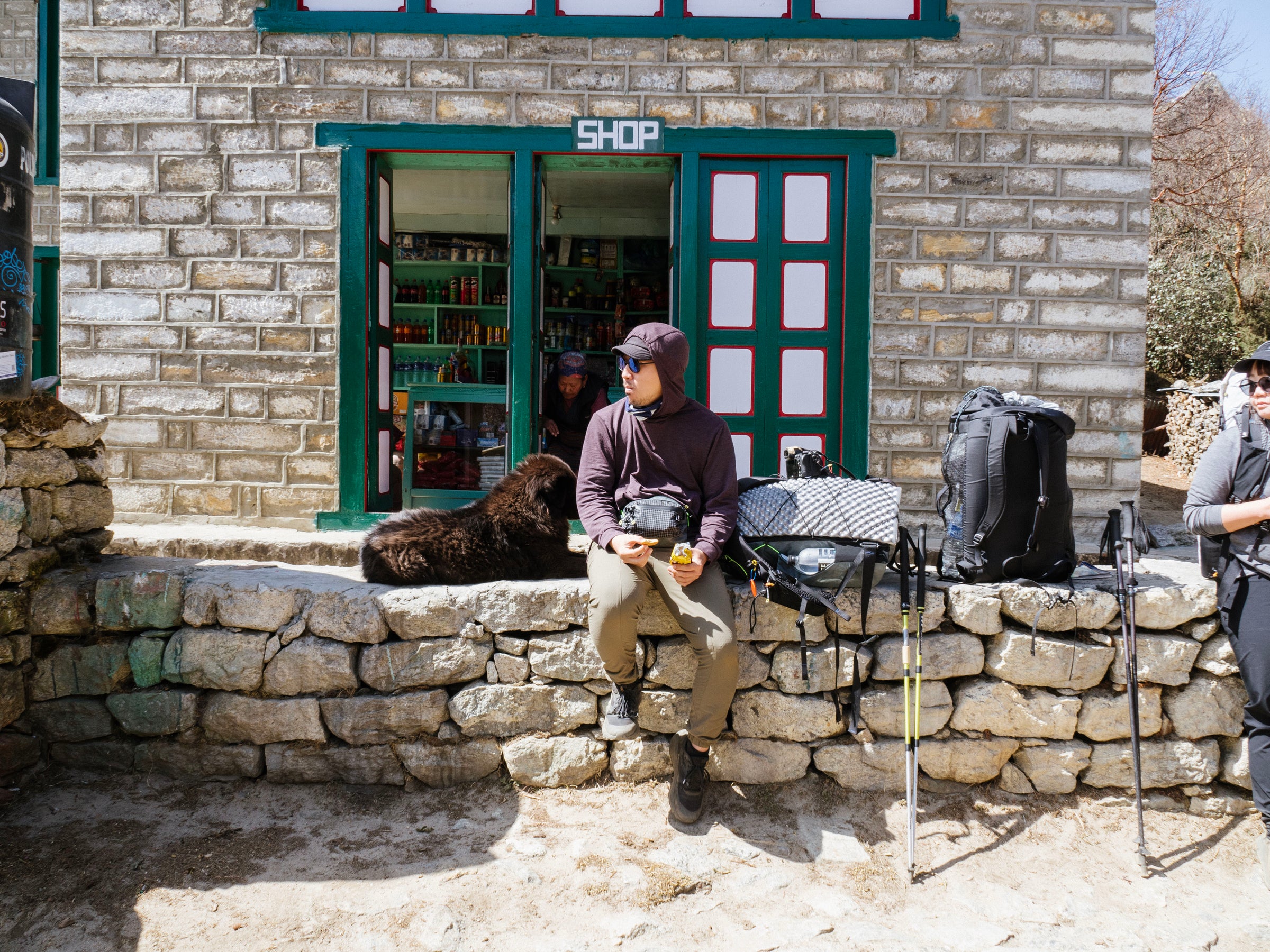 フィールドフォト