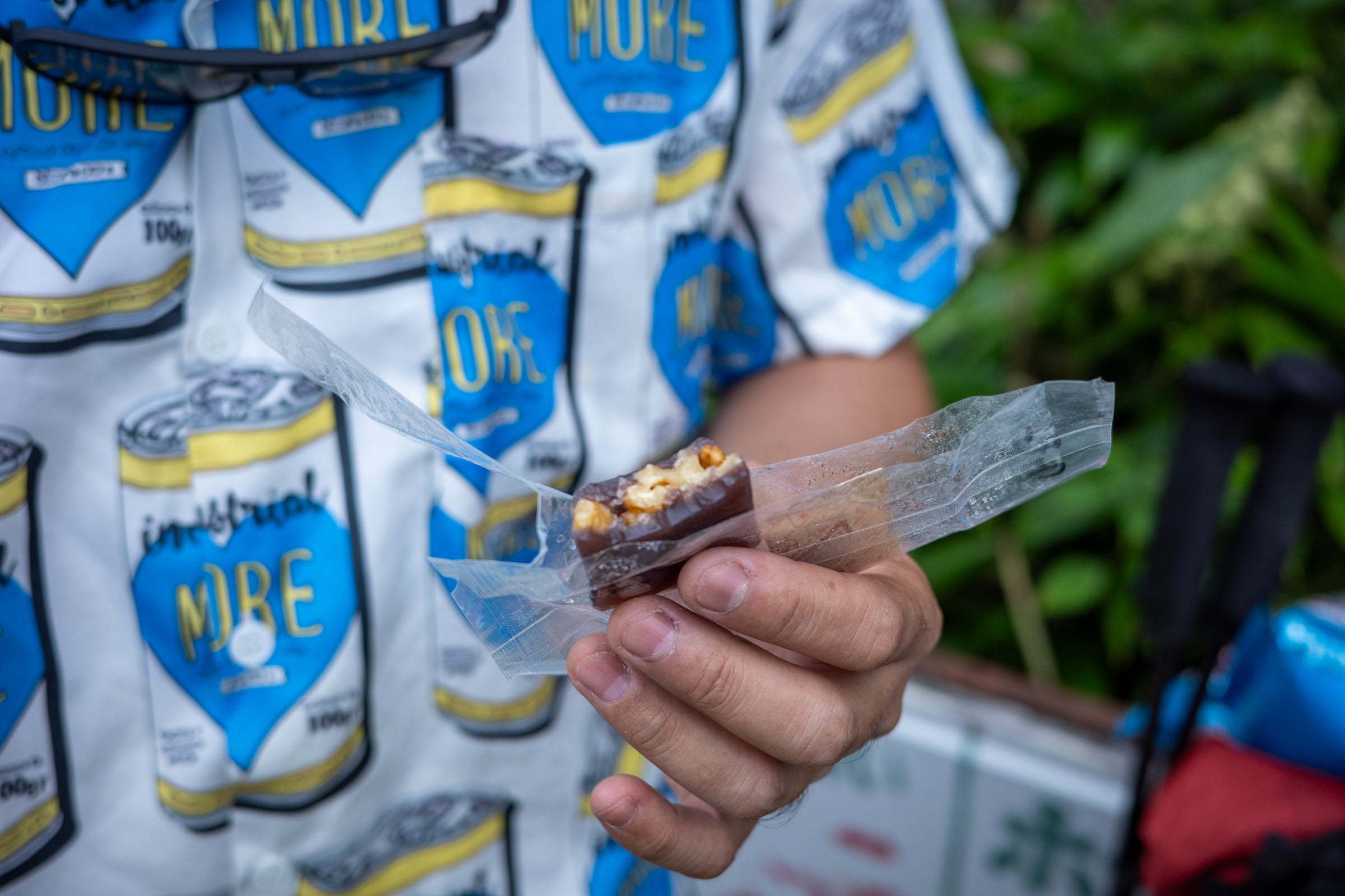 フィールドフォト