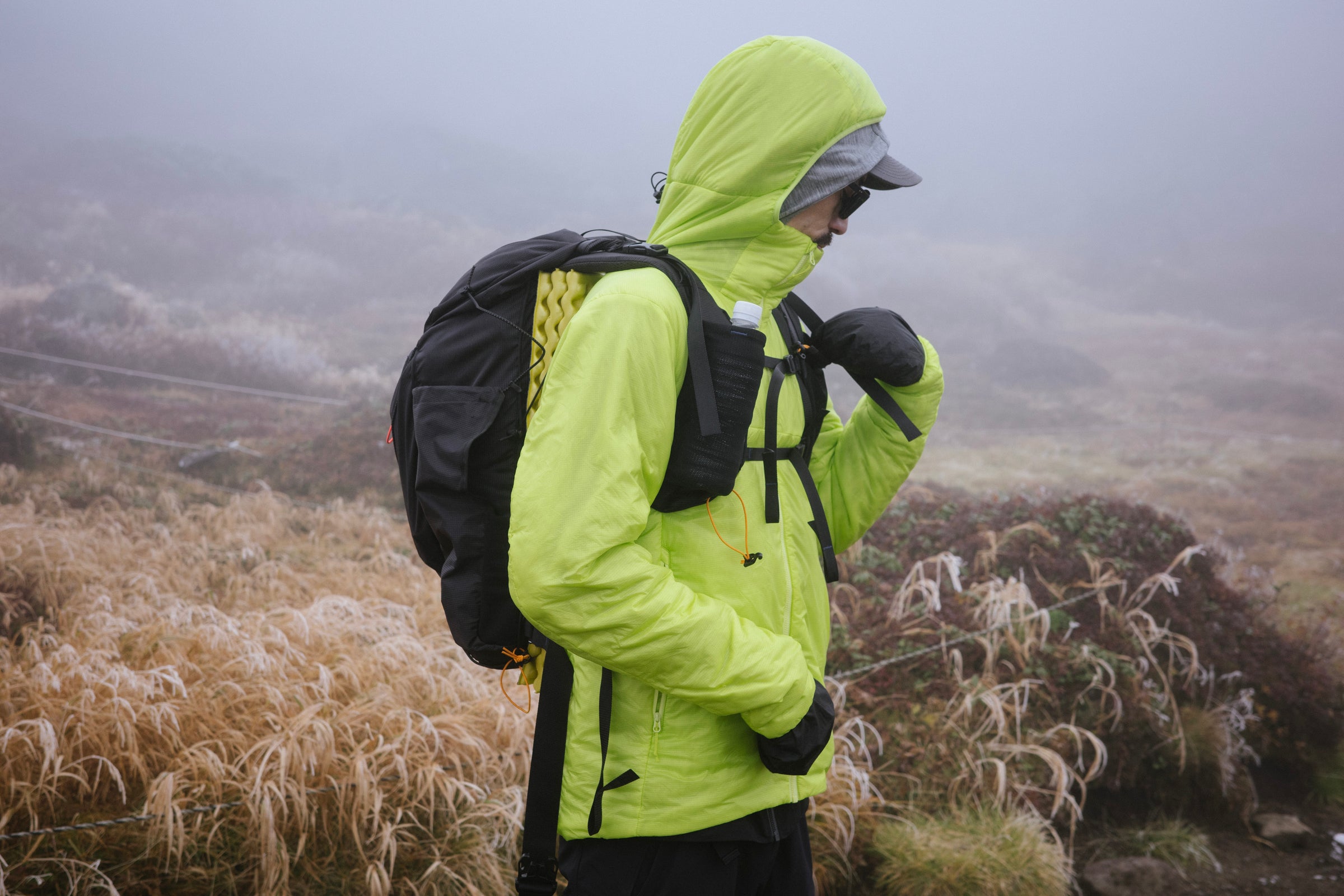 フィールドフォト