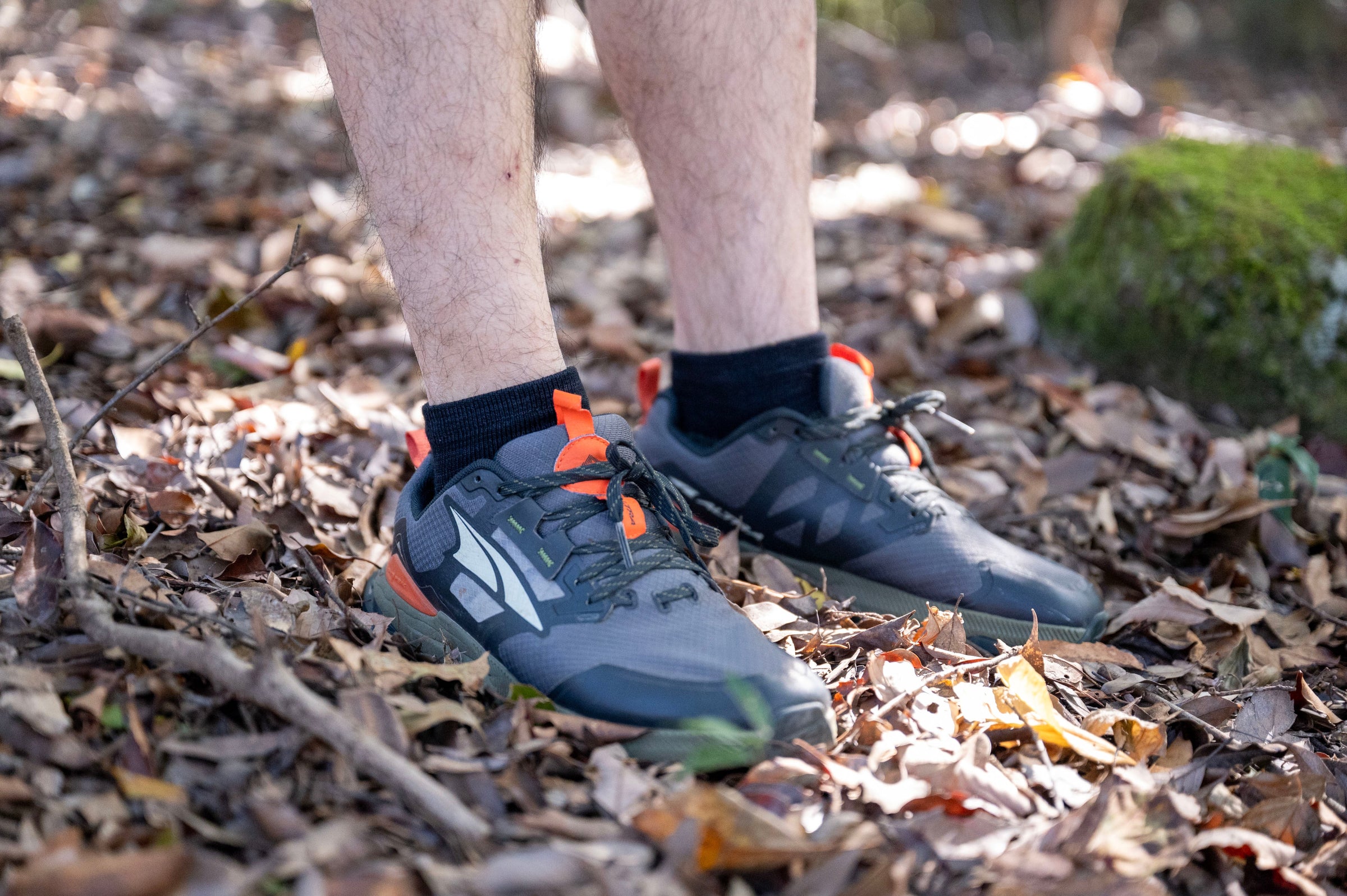 フィールドフォト